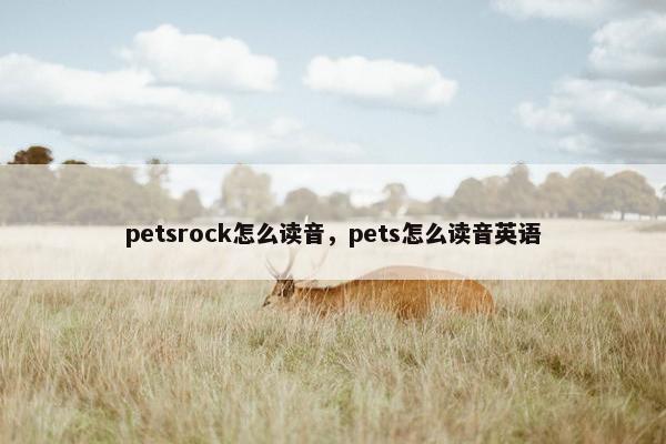 petsrock怎么读音，pets怎么读音英语