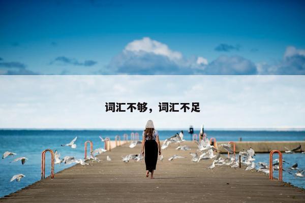词汇不够，词汇不足