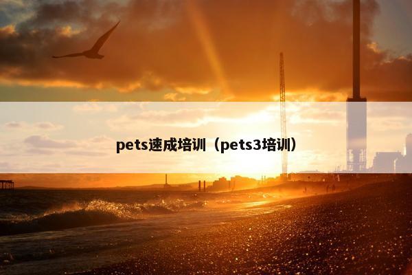pets速成培训（pets3培训）