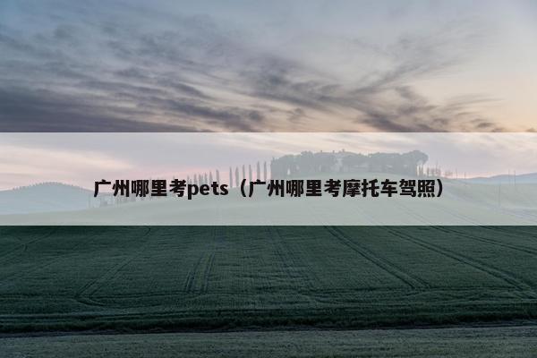 广州哪里考pets（广州哪里考摩托车驾照）