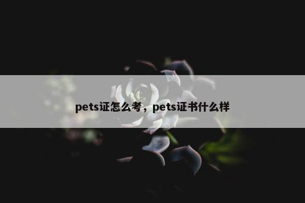 pets证怎么考，pets证书什么样
