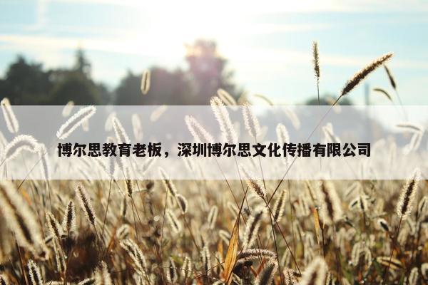 博尔思教育老板，深圳博尔思文化传播有限公司