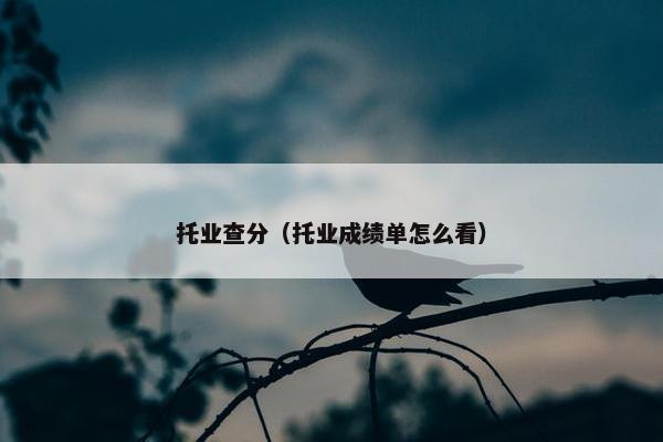 托业查分（托业成绩单怎么看）