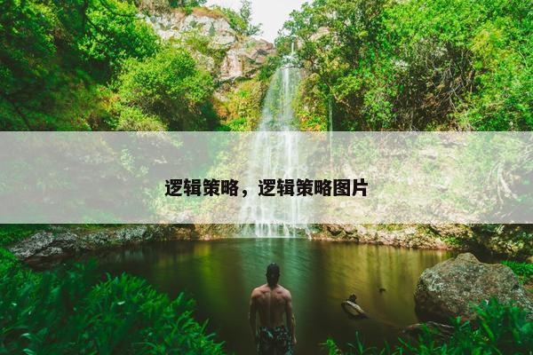 逻辑策略，逻辑策略图片