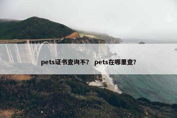 pets证书查询不？ pets在哪里查？