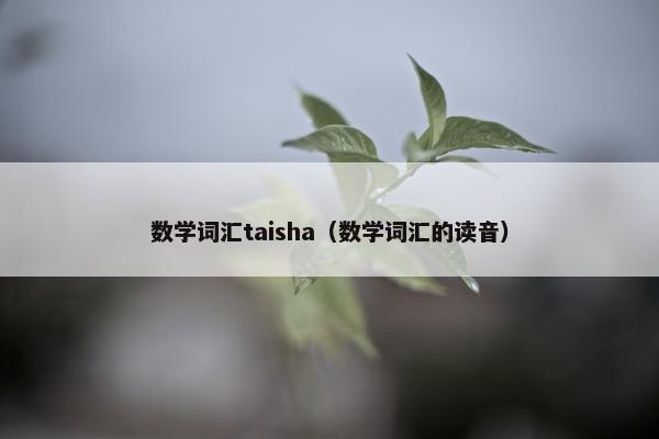 数学词汇taisha（数学词汇的读音）
