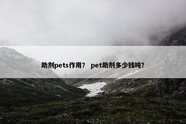 助剂pets作用？ pet助剂多少钱吨？