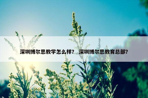 深圳博尔思教学怎么样？ 深圳博尔思教育总部？