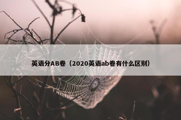 英语分AB卷（2020英语ab卷有什么区别）