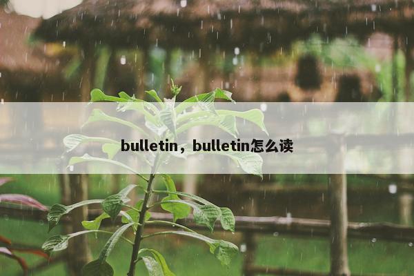 bulletin，bulletin怎么读
