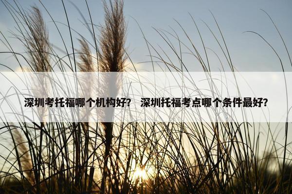 深圳考托福哪个机构好？ 深圳托福考点哪个条件最好？