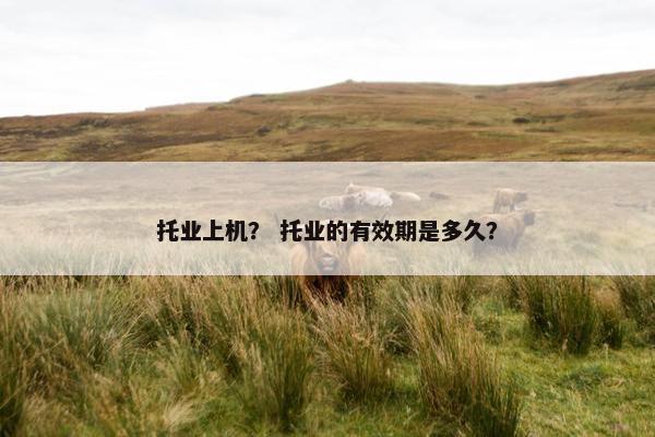 托业上机？ 托业的有效期是多久？