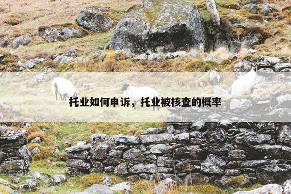 托业如何申诉，托业被核查的概率