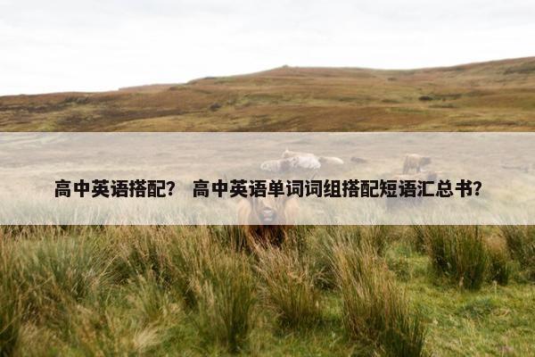 高中英语搭配？ 高中英语单词词组搭配短语汇总书？