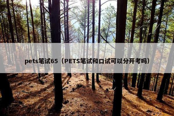 pets笔试65（PETS笔试和口试可以分开考吗）