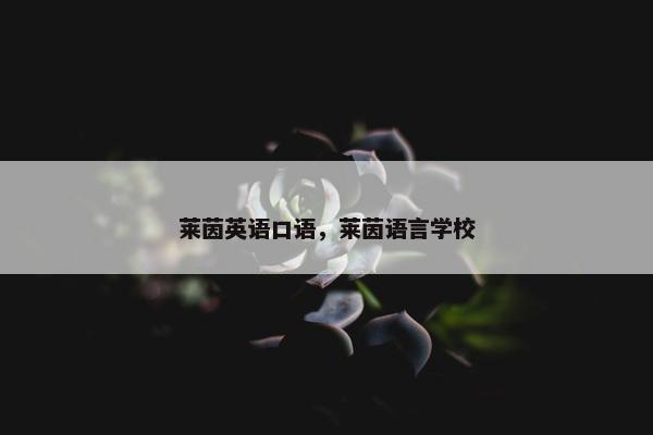 莱茵英语口语，莱茵语言学校
