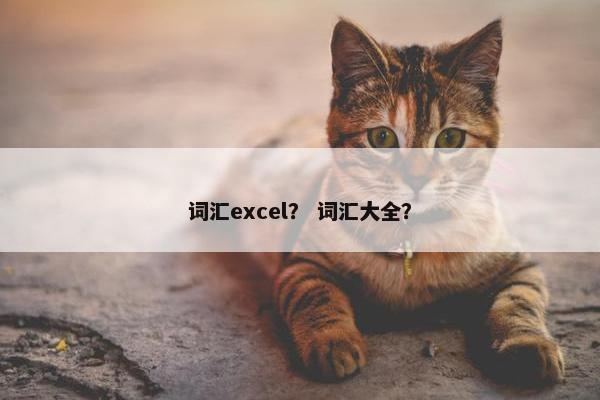 词汇excel？ 词汇大全？