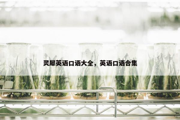 灵犀英语口语大全，英语口语合集