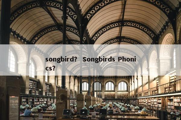songbird？ Songbirds Phonics？