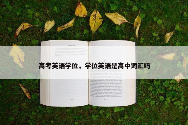 高考英语学位，学位英语是高中词汇吗