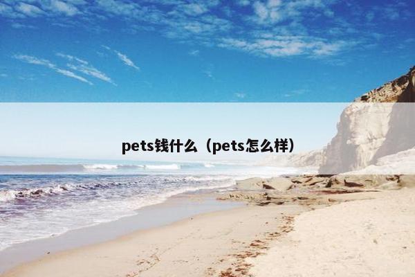 pets钱什么（pets怎么样）