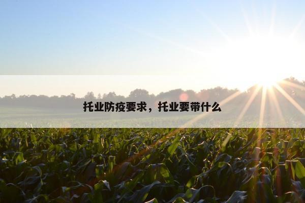 托业防疫要求,托业要带什么 托业防疫要求,托业要带什么