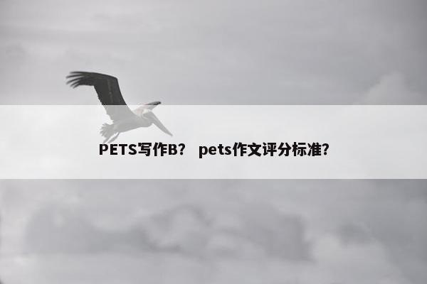 PETS写作B？ pets作文评分标准？