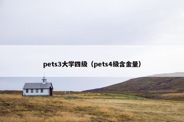 pets3大学四级（pets4级含金量）