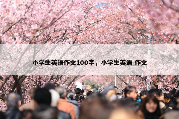 小学生英语作文100字，小学生英语 作文