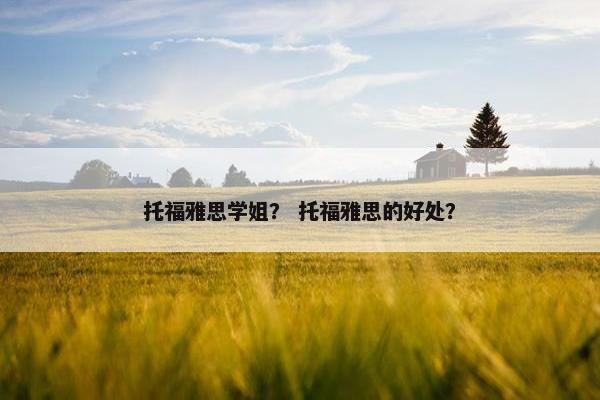 托福雅思学姐？ 托福雅思的好处？