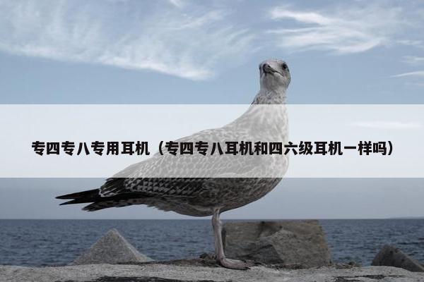 专四专八专用耳机（专四专八耳机和四六级耳机一样吗）