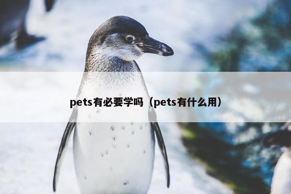pets有必要学吗（pets有什么用）
