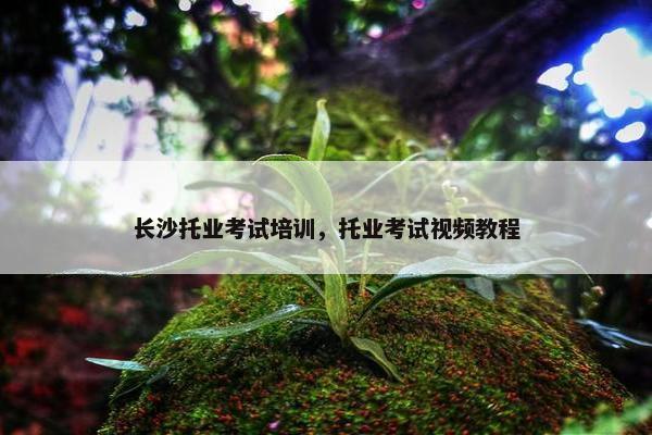长沙托业考试培训，托业考试视频教程