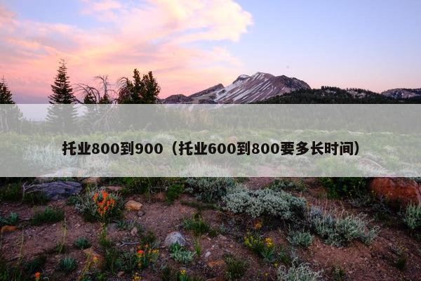 托业800到900（托业600到800要多长时间）