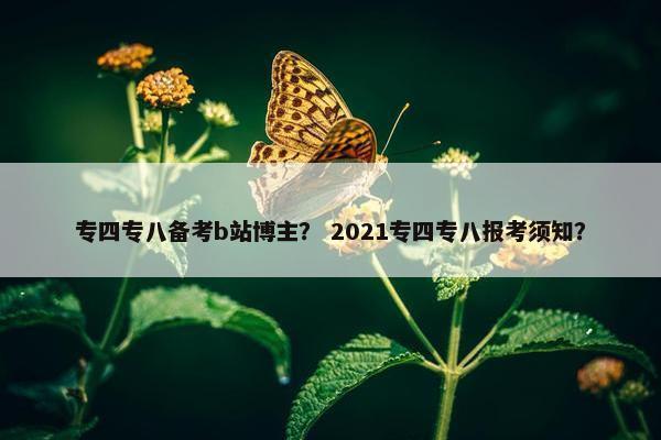 专四专八备考b站博主? 2021专四专八报考须知?
