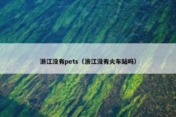 浙江没有pets（浙江没有火车站吗）
