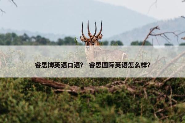 睿思博英语口语？ 睿思国际英语怎么样？