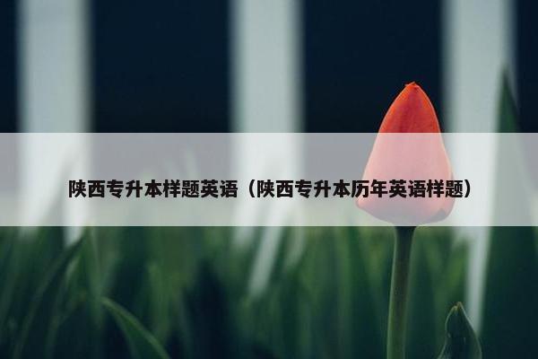 陕西专升本样题英语（陕西专升本历年英语样题）