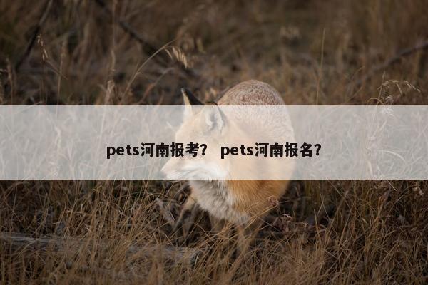 pets河南报考？ pets河南报名？